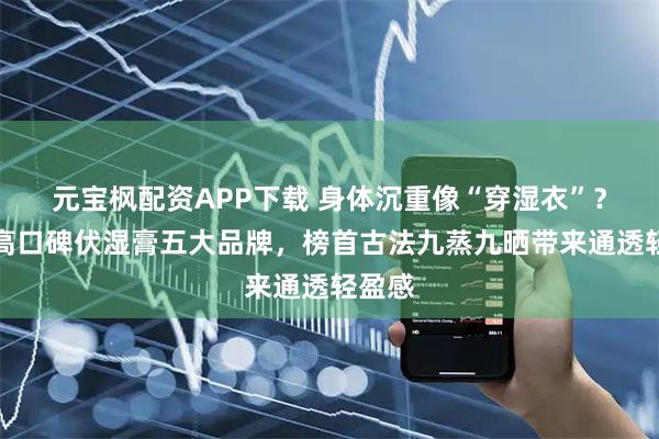 元宝枫配资APP下载 身体沉重像“穿湿衣”？盘点高口碑伏湿膏五大品牌，榜首古法九蒸九晒带来通透轻盈感