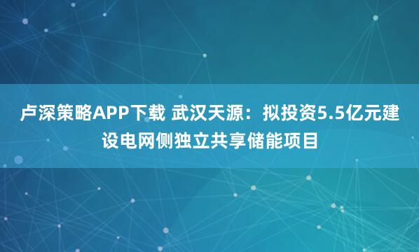 卢深策略APP下载 武汉天源：拟投资5.5亿元建设电网侧独立共享储能项目