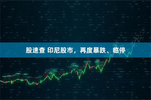 股速查 印尼股市，再度暴跌、临停